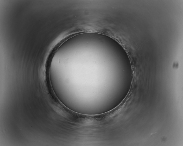 X0000103300246200808291412