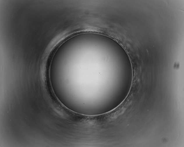 X0000103300247200808291412