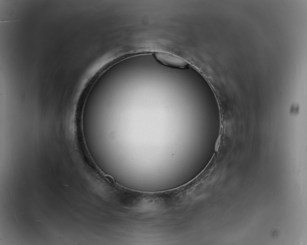 X0000103300248200808291412