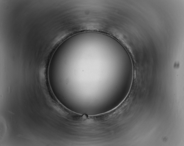 X0000103300249200808291412