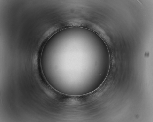 X0000103300250200808291412