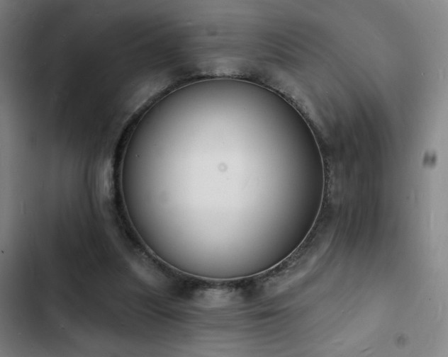 X0000103300251200808291412