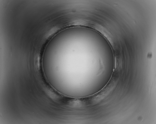 X0000103300253200808291412