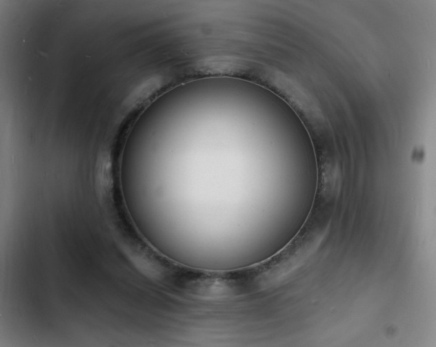 X0000103300254200808291412