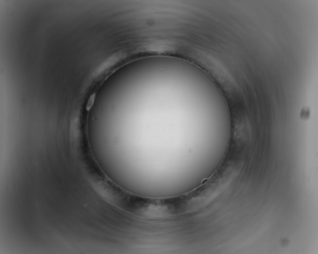 X0000103300256200808291412