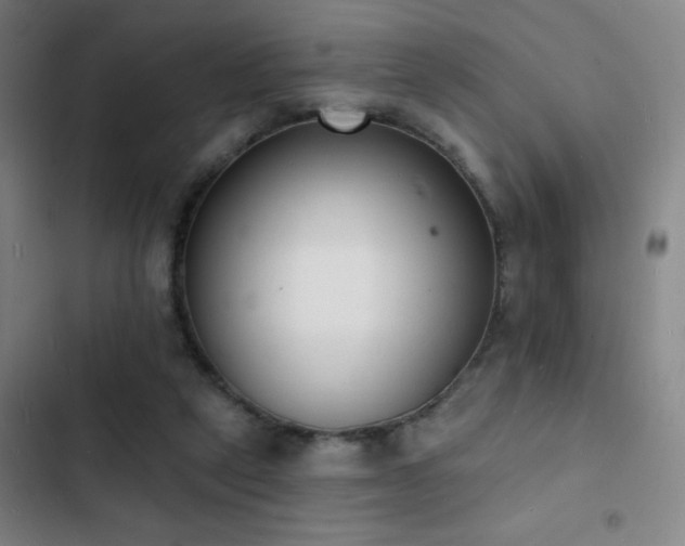 X0000103300257200808291412