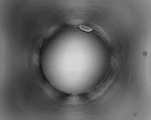 X0000103300259200808291412