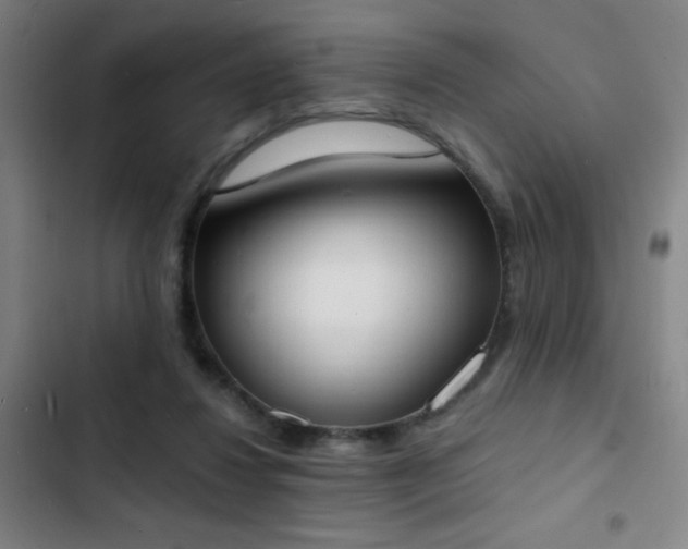 X0000103300260200808291412