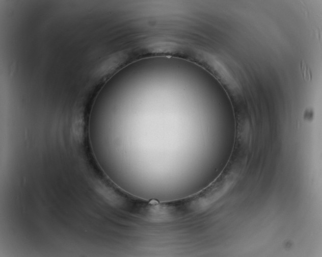 X0000103300261200808291412