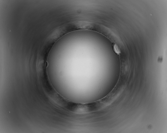 X0000103300263200808291412