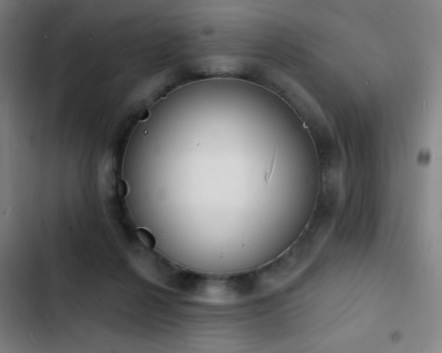 X0000103300264200808291412