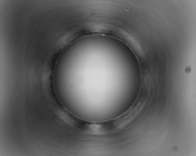 X0000103300265200808291412