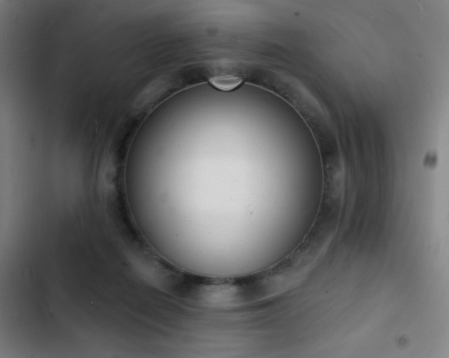 X0000103300266200808291412