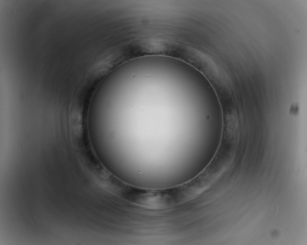 X0000103300267200808291412