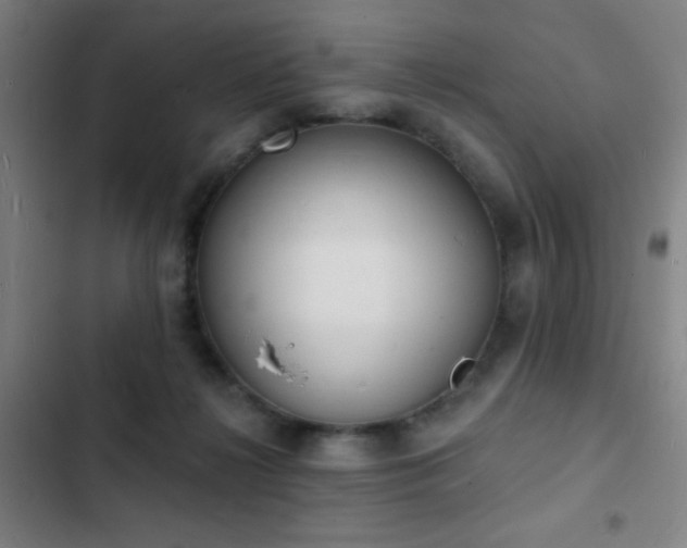 X0000103300268200808291412