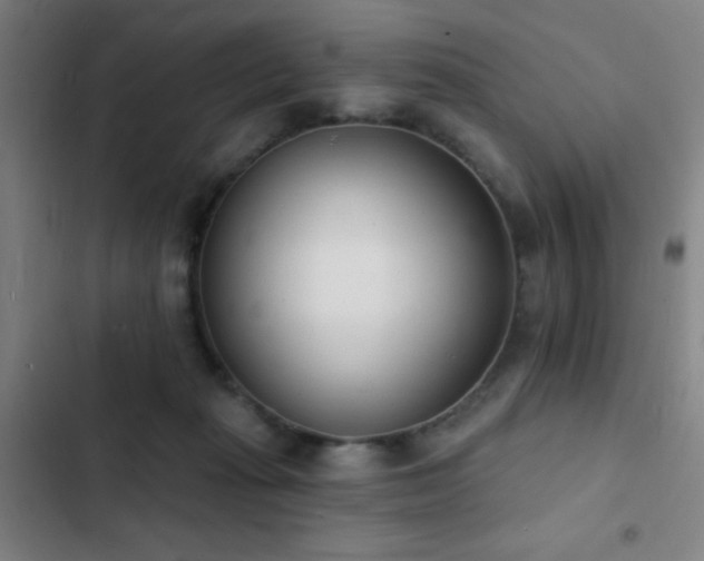 X0000103300269200808291412