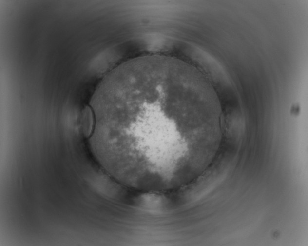 X0000103300272200808291412