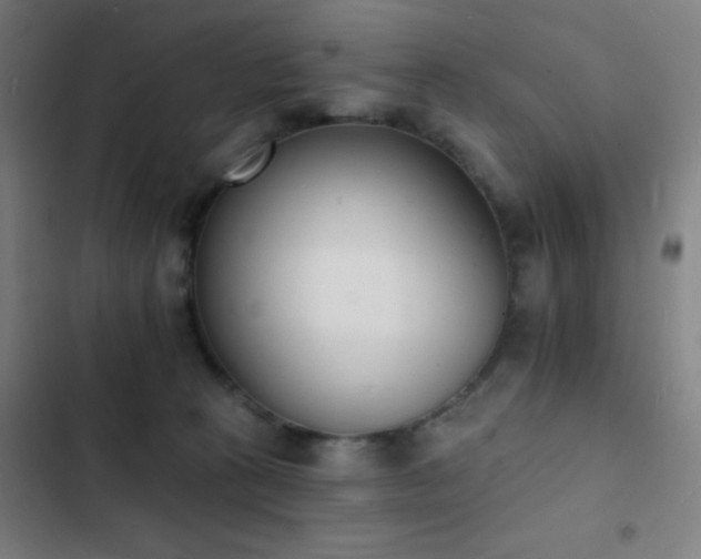 X0000103300273200808291412