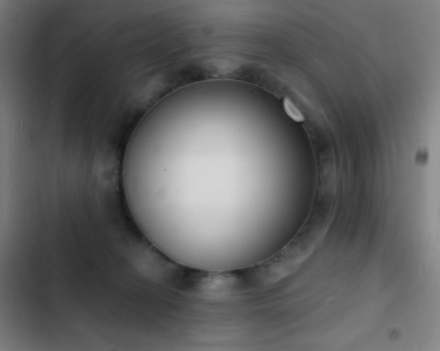 X0000103300274200808291412