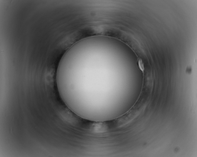 X0000103300275200808291412