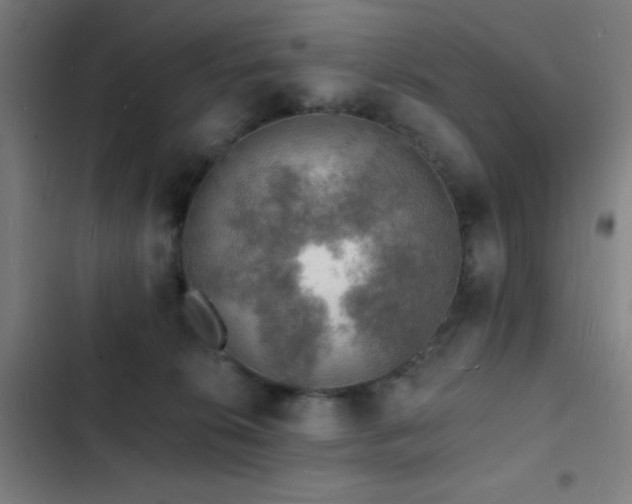 X0000103300276200808291412