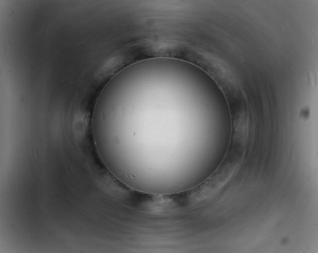 X0000103300278200808291412