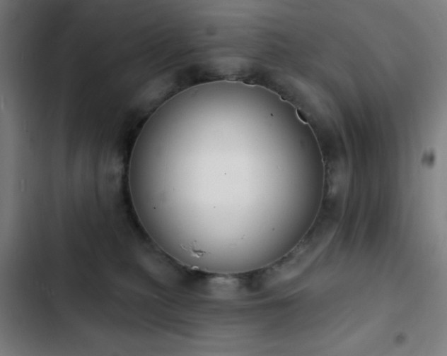 X0000103300279200808291412