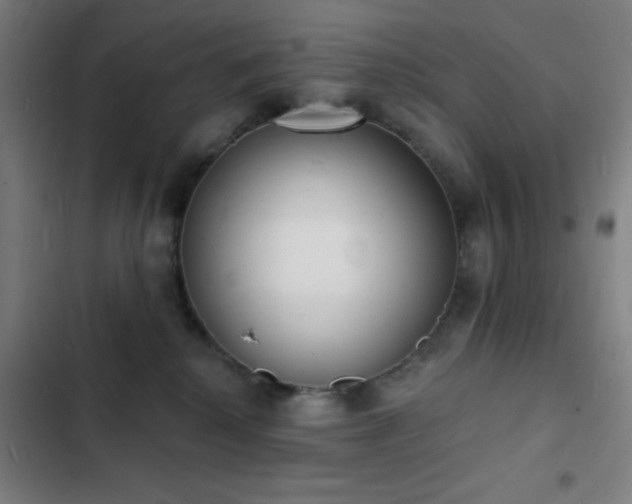 X0000103300280200808291412