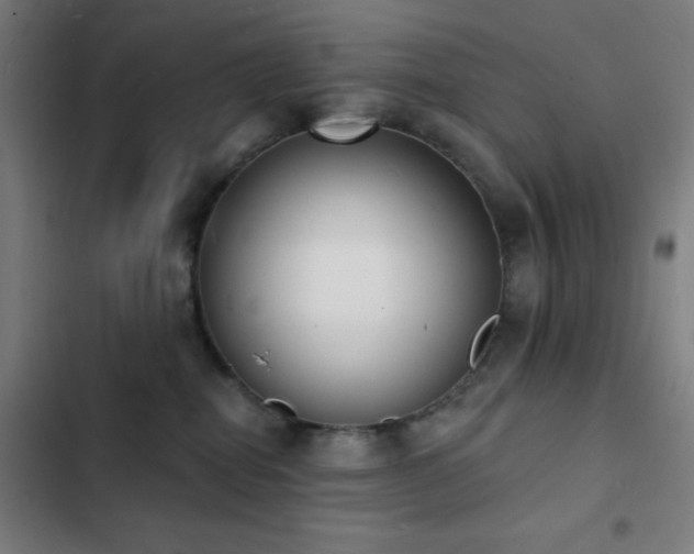 X0000103300282200808291412