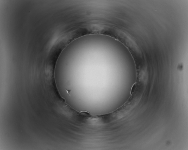 X0000103300283200808291412