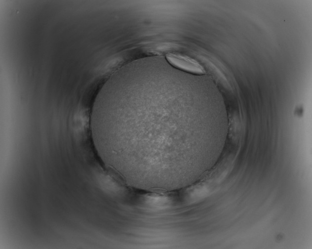 X0000103300284200808291412