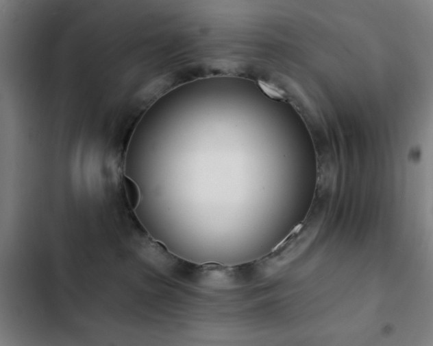 X0000103300285200808291412