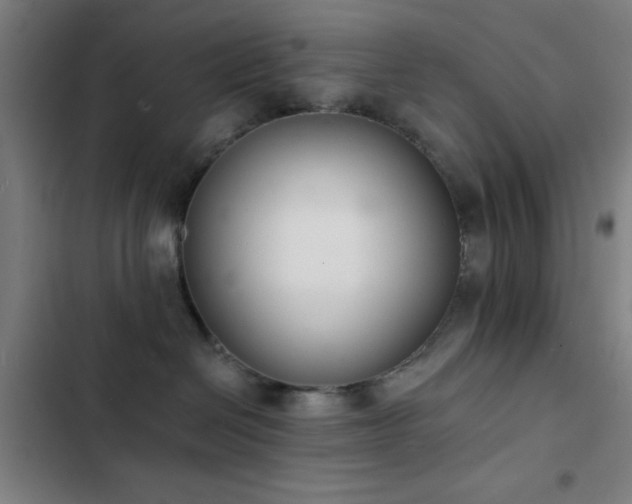 X0000103300286200808291412