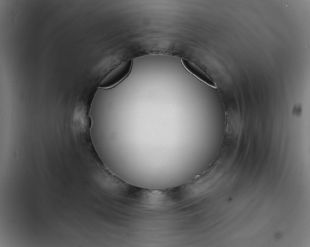 X0000103300287200808291412