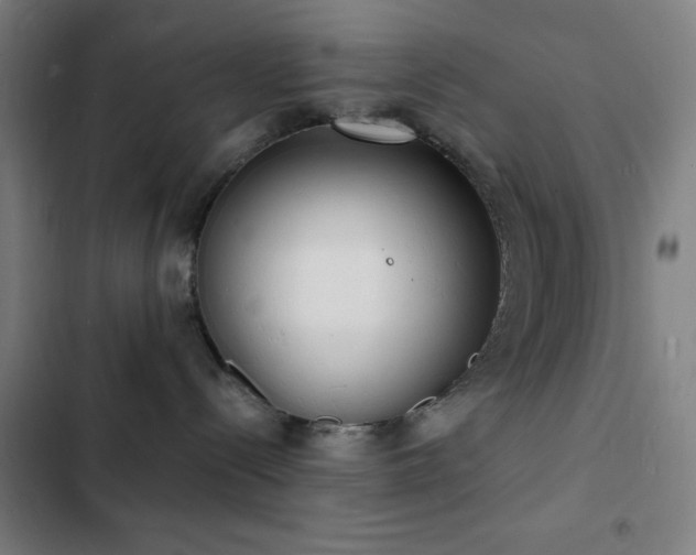 X0000103300288200808291412