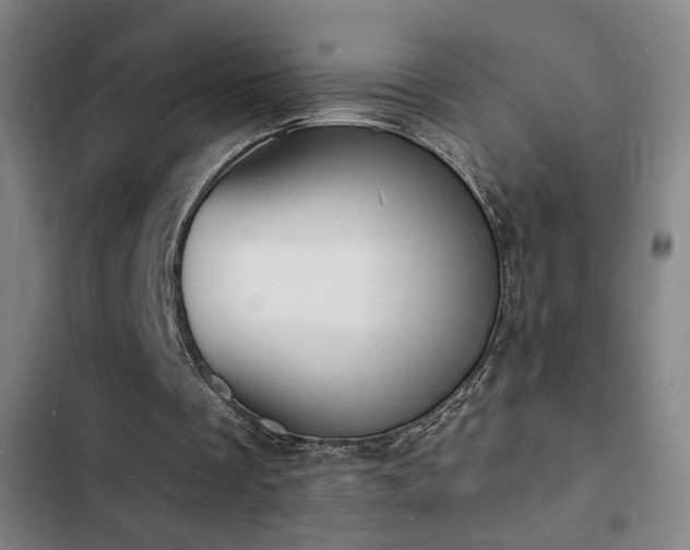 X0000103300289200808291412