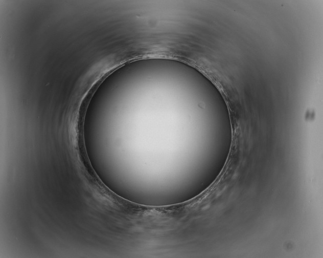 X0000103300290200808291412