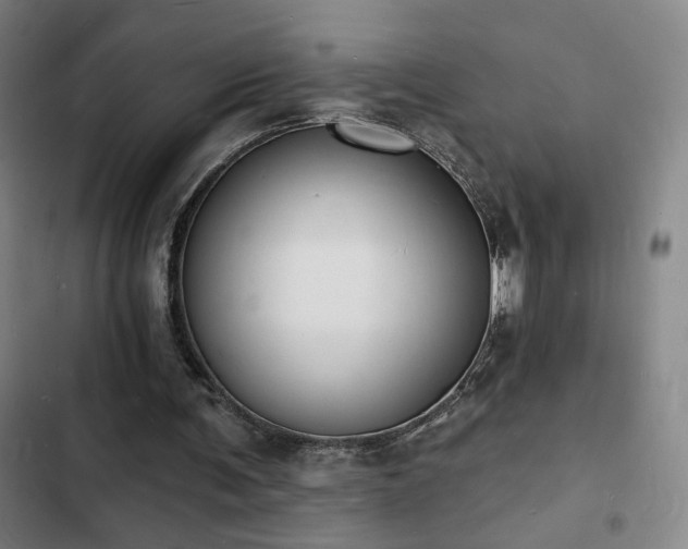 X0000103300291200808291412