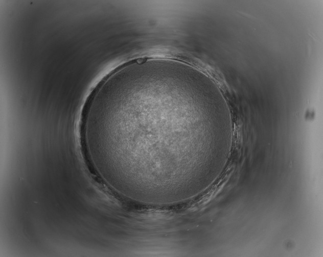 X0000103300292200808291412