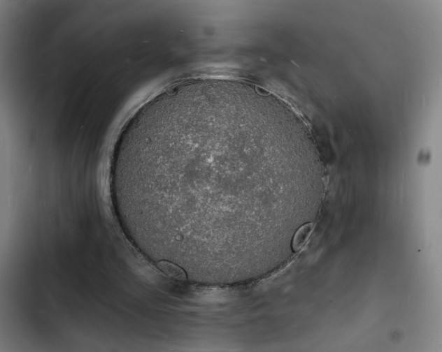 X0000103300293200808291412