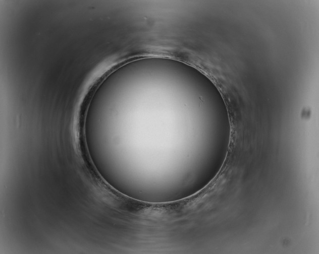 X0000103300294200808291412