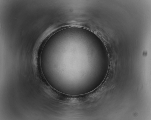 X0000103300295200808291412