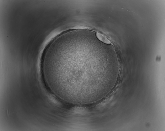 X0000103300296200808291412