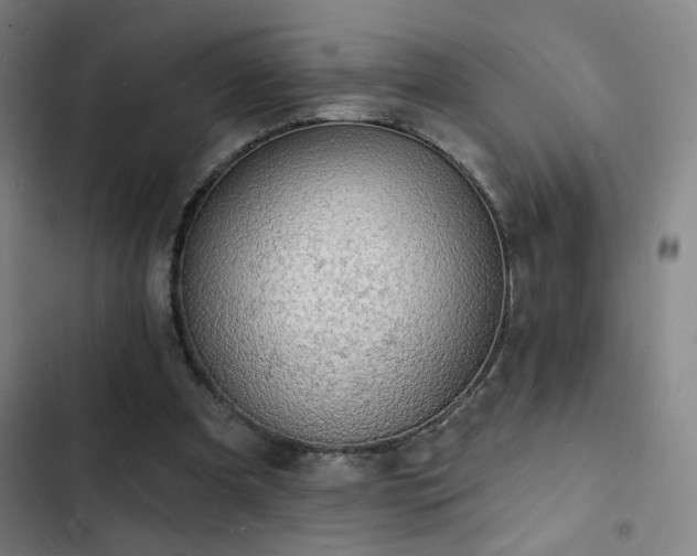 X0000103300297200808291412