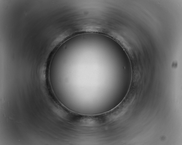 X0000103300299200808291412