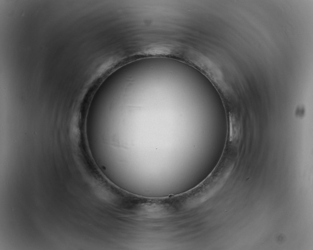 X0000103300300200808291412