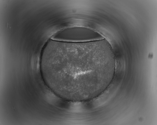 X0000103300301200808291412