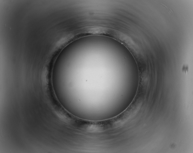 X0000103300303200808291412