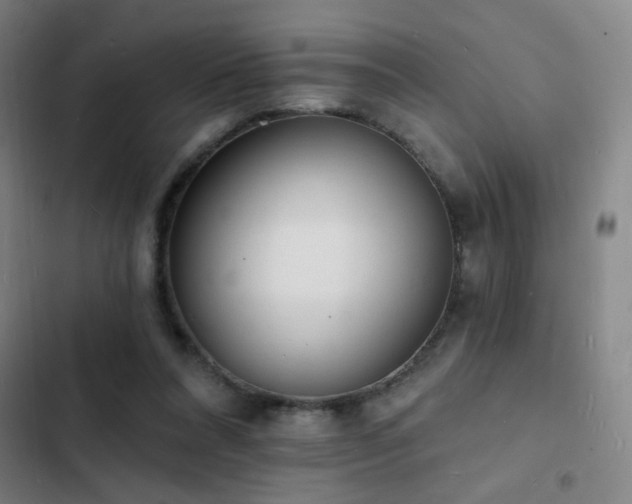 X0000103300304200808291412