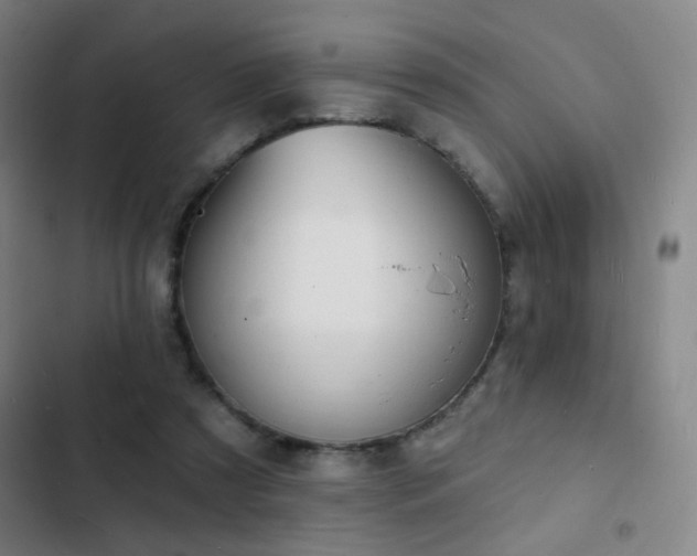 X0000103300305200808291411